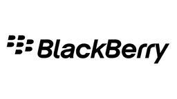 BlackBerry Brand Logo For Display