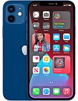 Display image of Apple iPhone 12